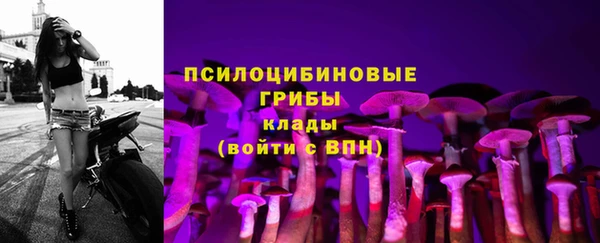 круглые Абаза