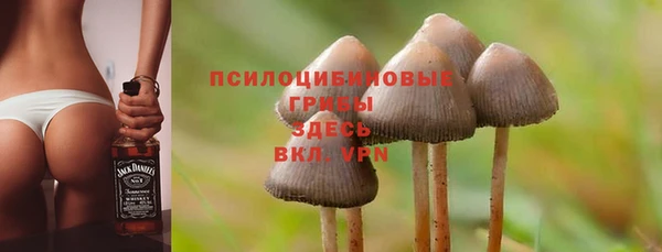 гидропоника Абинск
