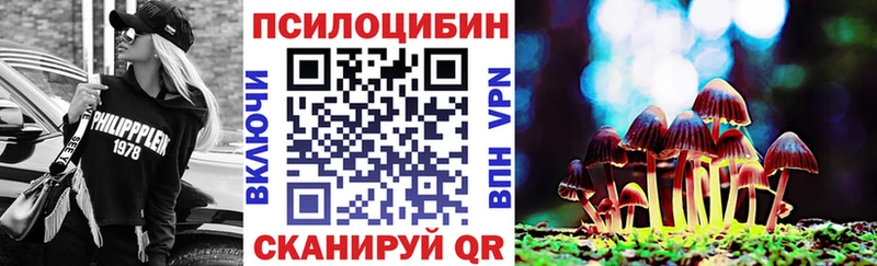 Псилоцибиновые грибы прущие грибы  наркотики  нарко площадка как зайти  Тетюши 